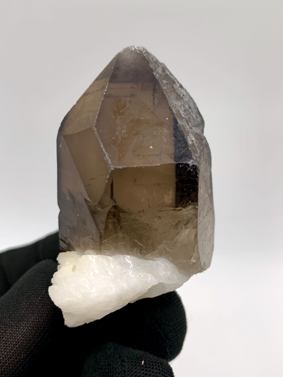 Saturday Color Smoky Quartz On White Albite