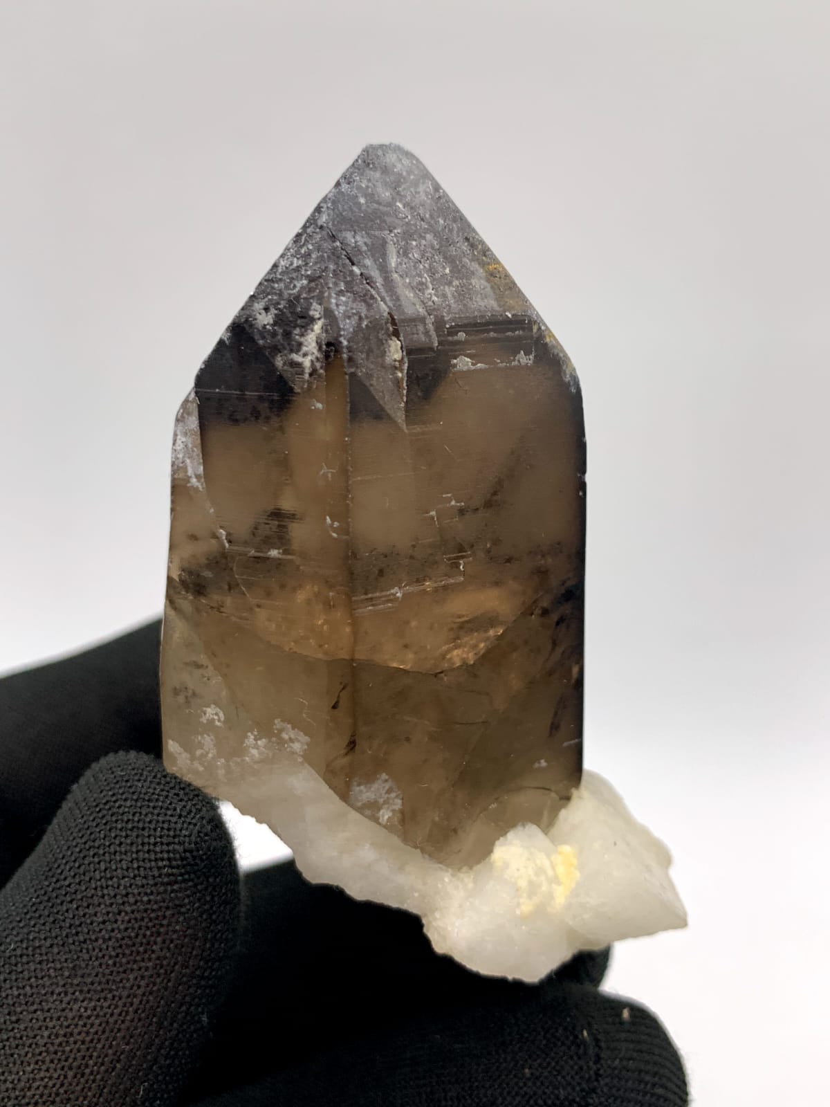 Saturday Color Smoky Quartz On White Albite