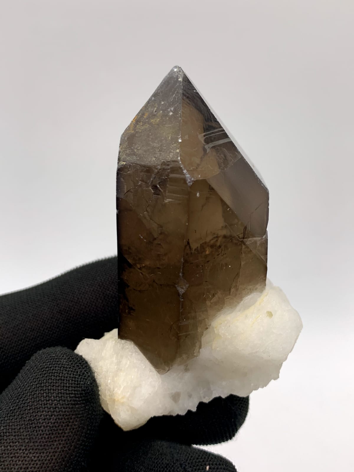 Saturday Color Smoky Quartz On White Albite