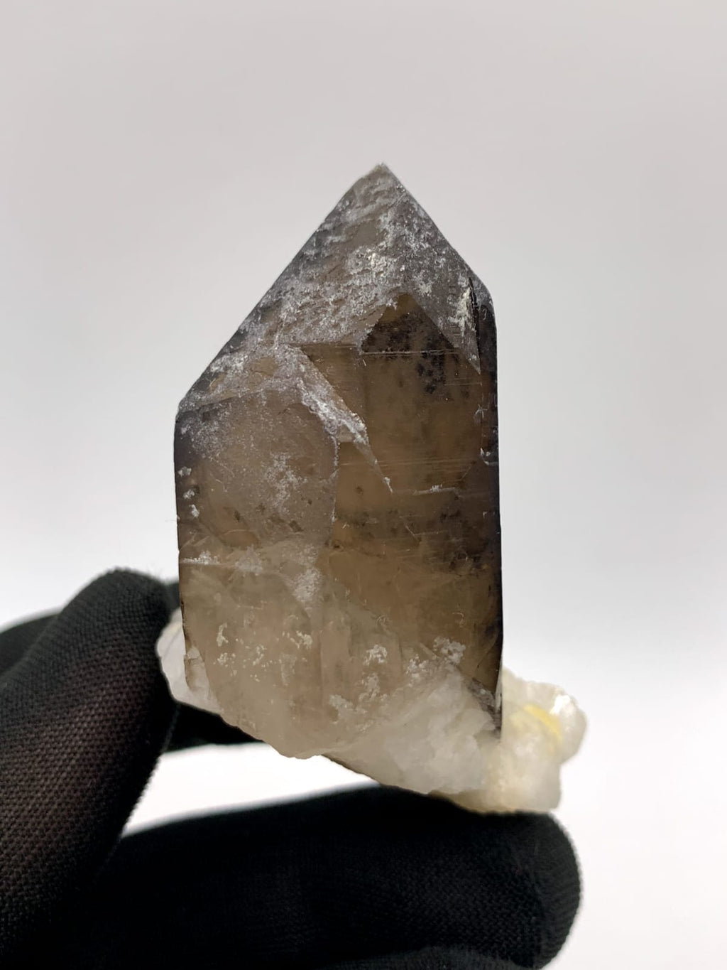 Saturday Color Smoky Quartz On White Albite