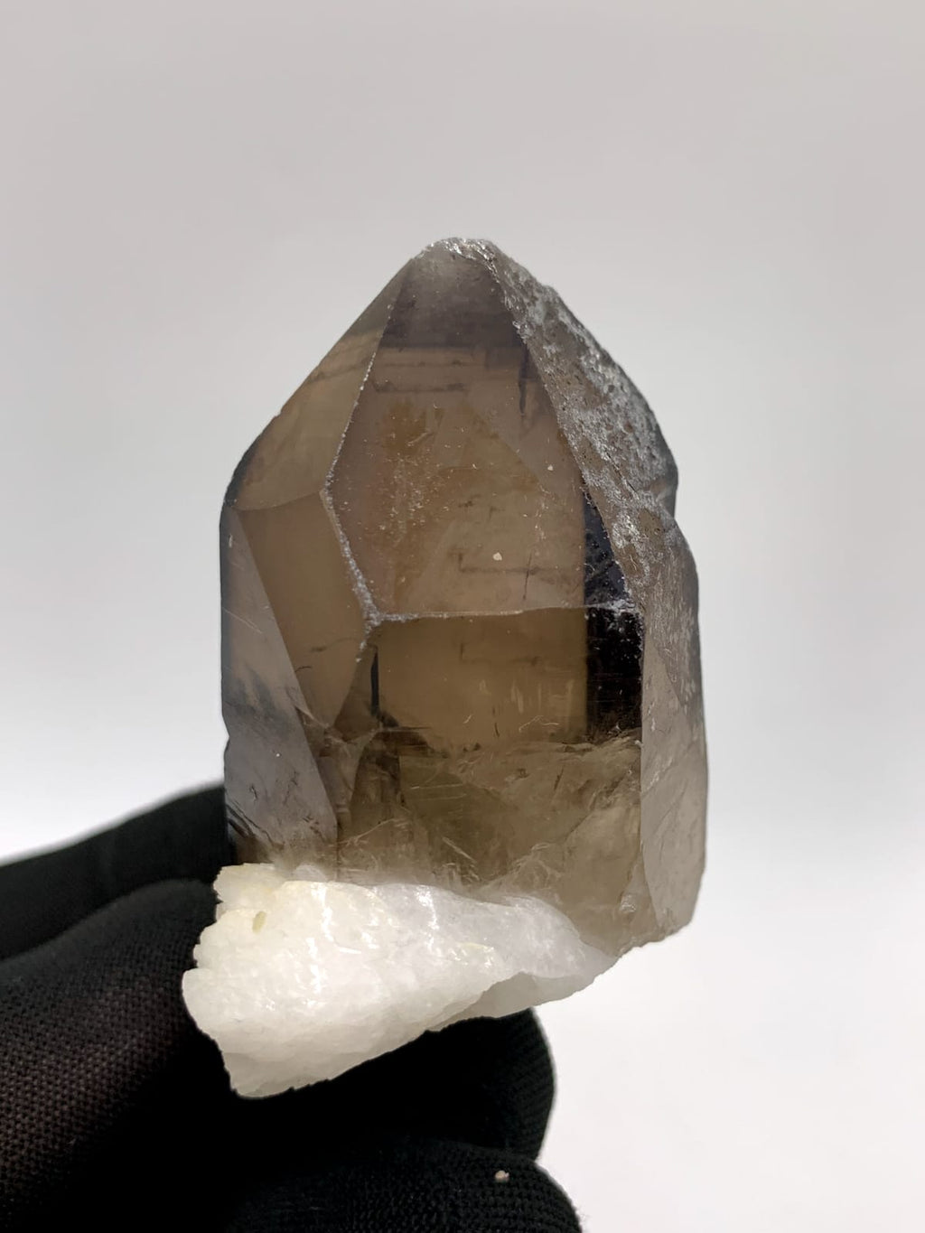 Saturday Color Smoky Quartz On White Albite