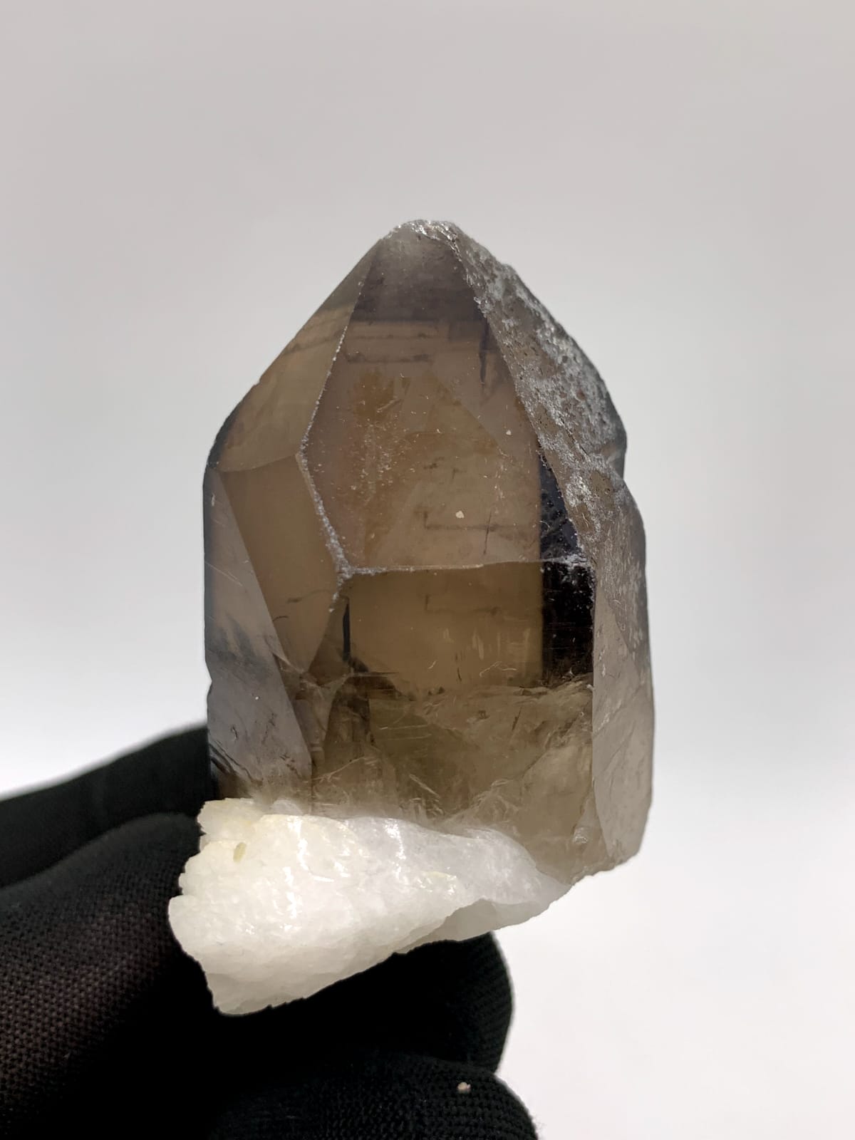 Saturday Color Smoky Quartz On White Albite