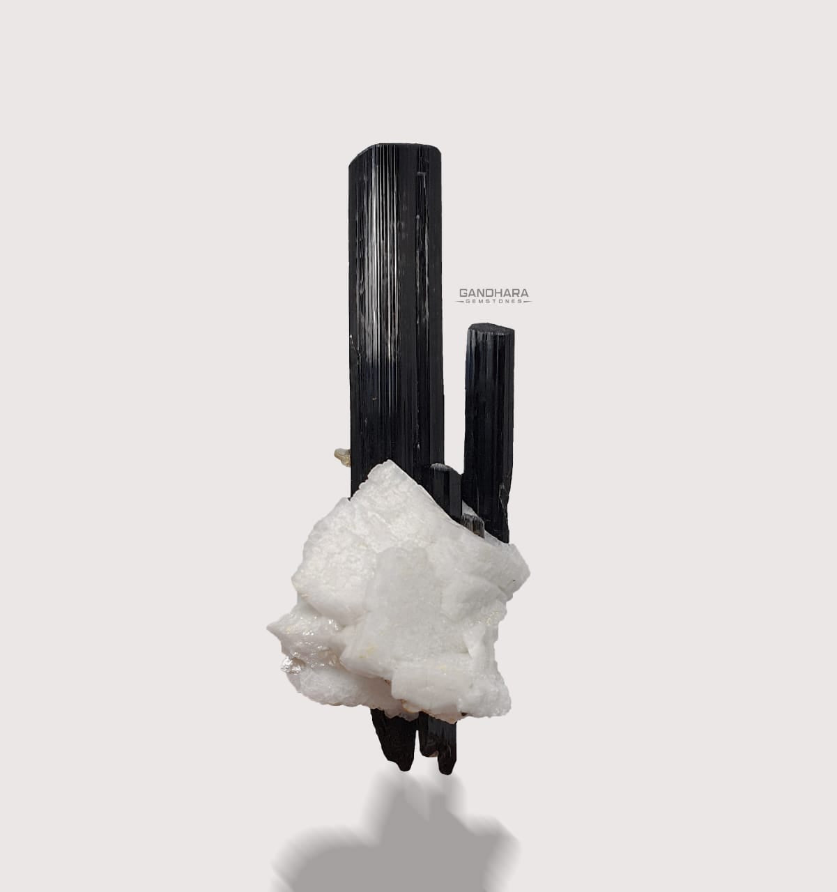 Schorl Crystals Specimen on Albite Matrix
