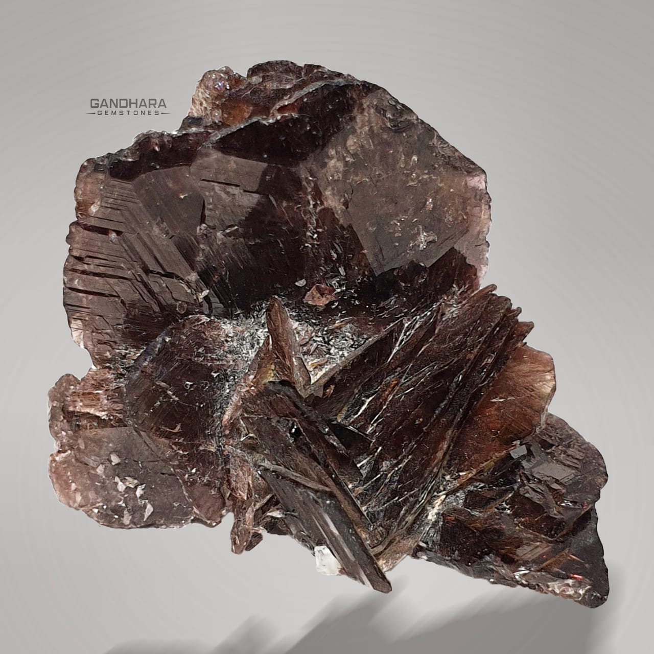 25 Grams Sharp Edged Axinite Crystals