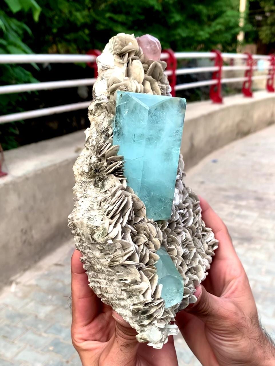 Spectacular Museum Grade Aquamarine And Apatite On Muscovite