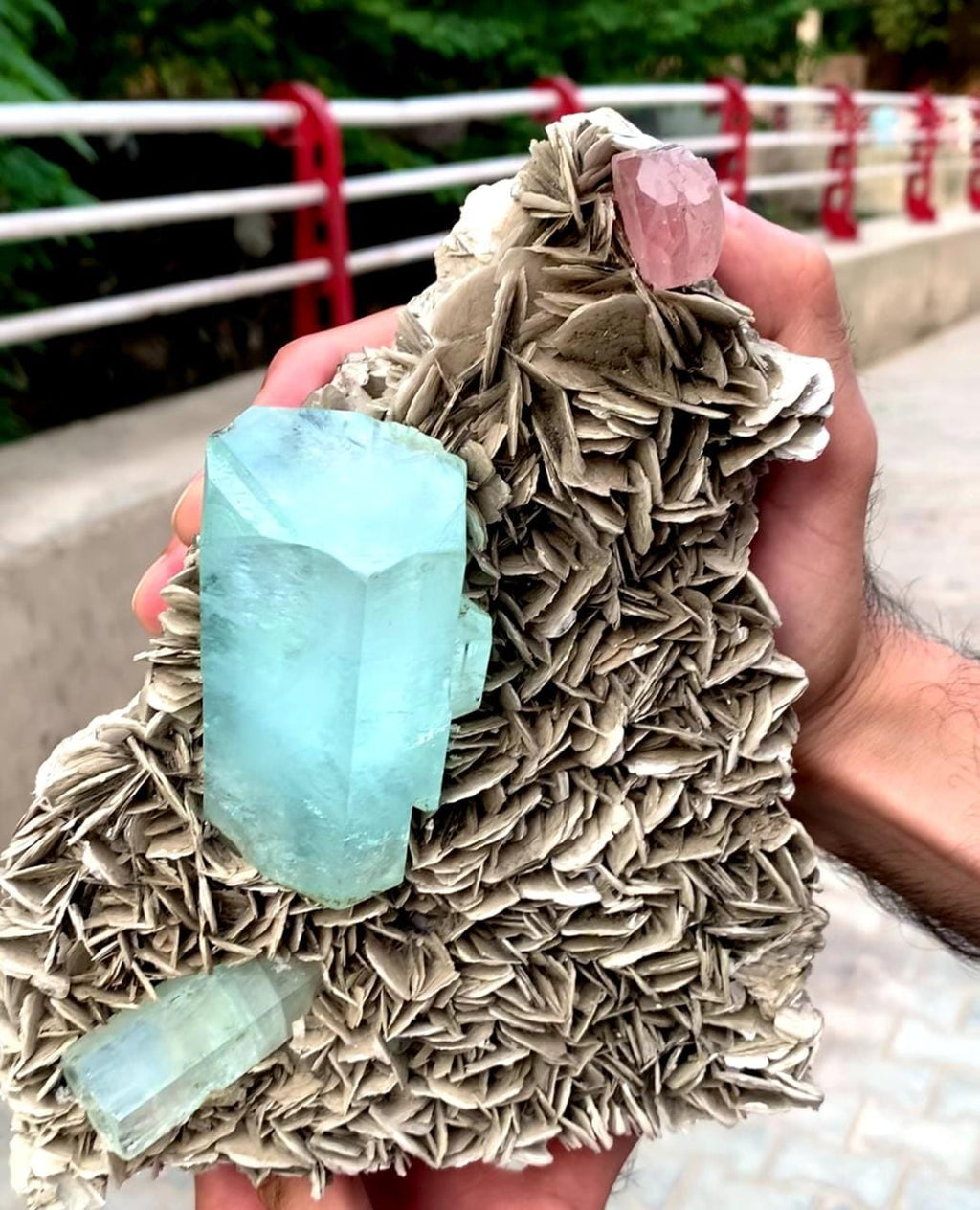 Spectacular Museum Grade Aquamarine And Apatite On Muscovite