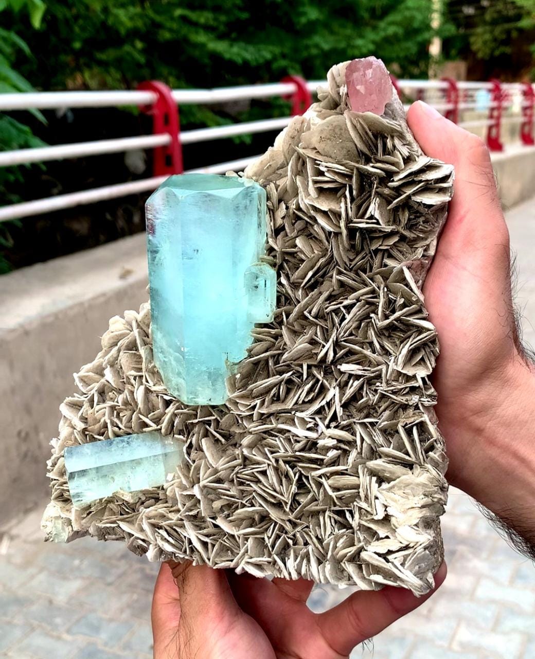 Spectacular Museum Grade Aquamarine And Apatite On Muscovite