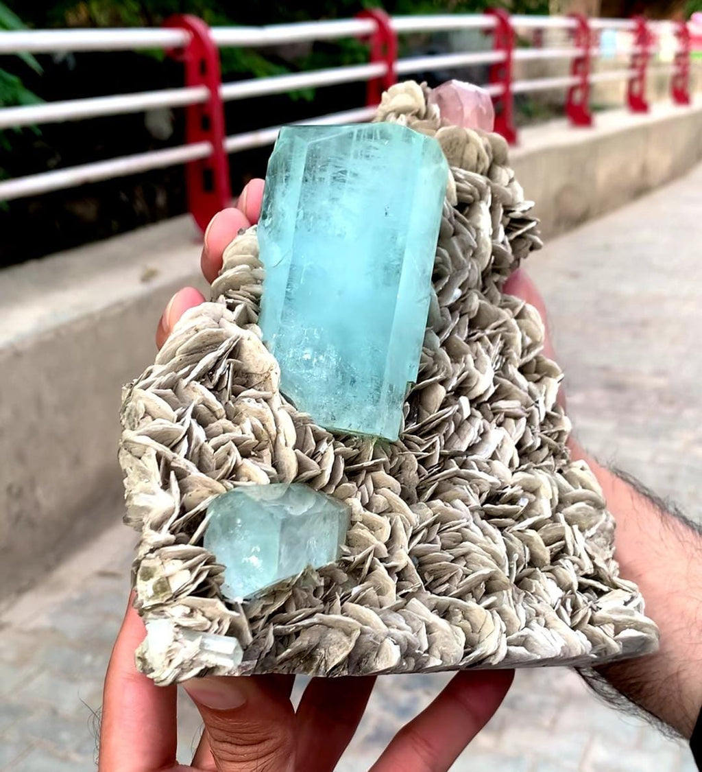 Spectacular Museum Grade Aquamarine And Apatite On Muscovite