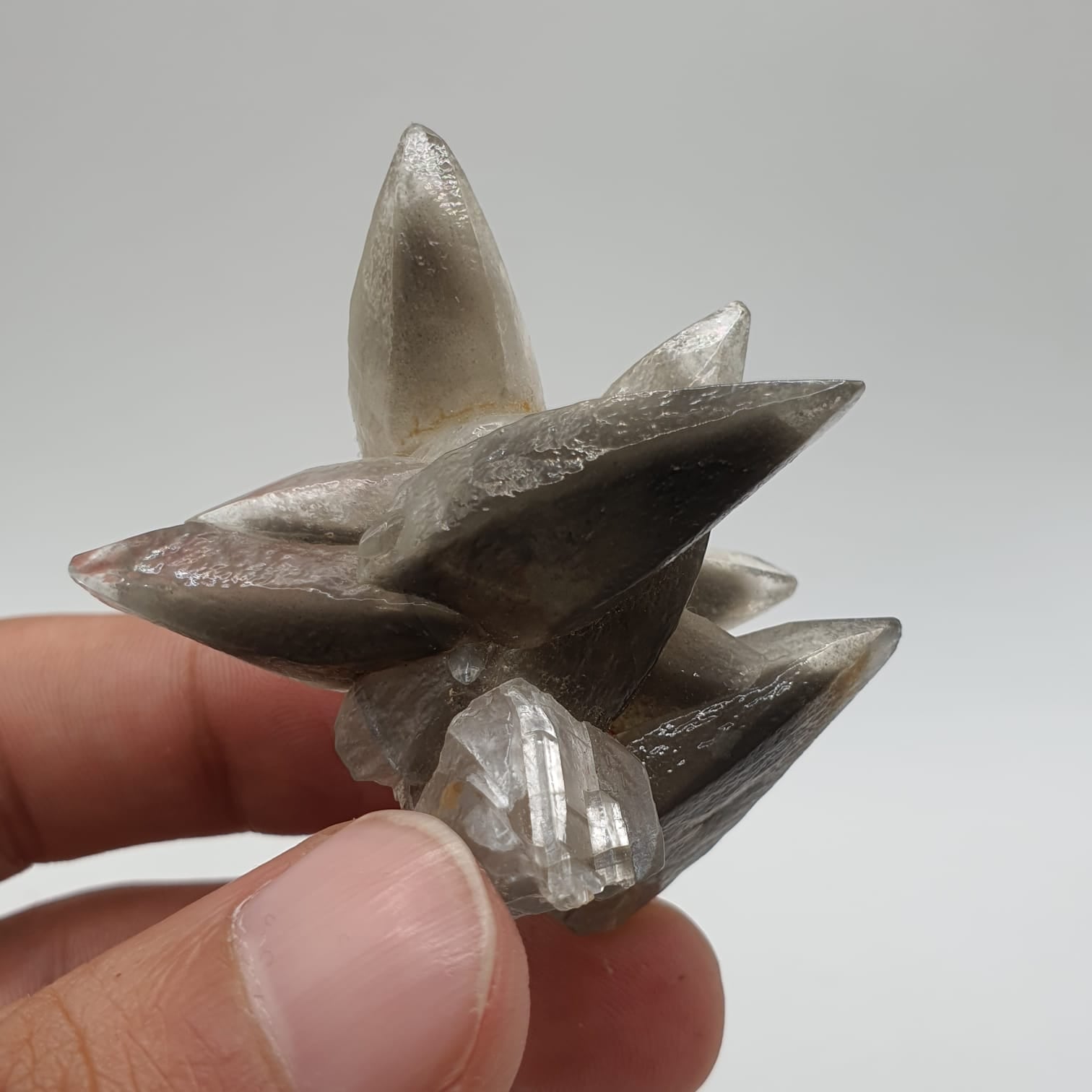 Start Burst Cluster Of Calcite With Marcasite Inclusion