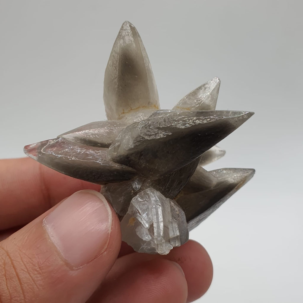 Start Burst Cluster Of Calcite With Marcasite Inclusion
