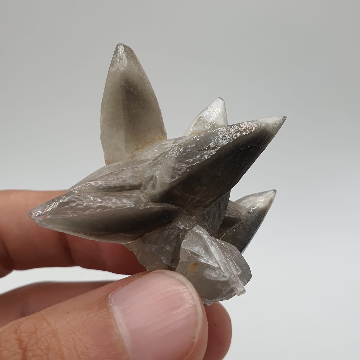Start Burst Cluster Of Calcite With Marcasite Inclusion