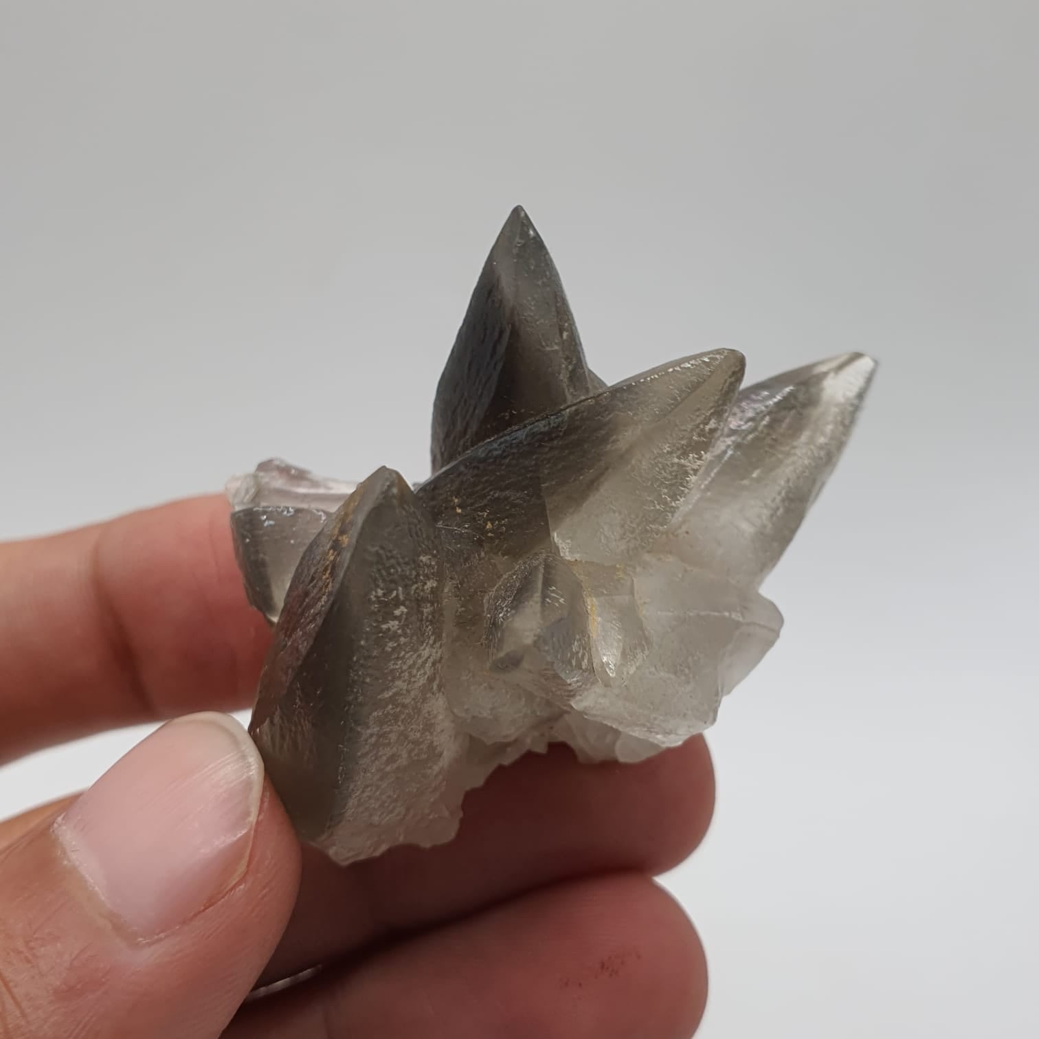 Start Burst Cluster Of Calcite With Marcasite Inclusion
