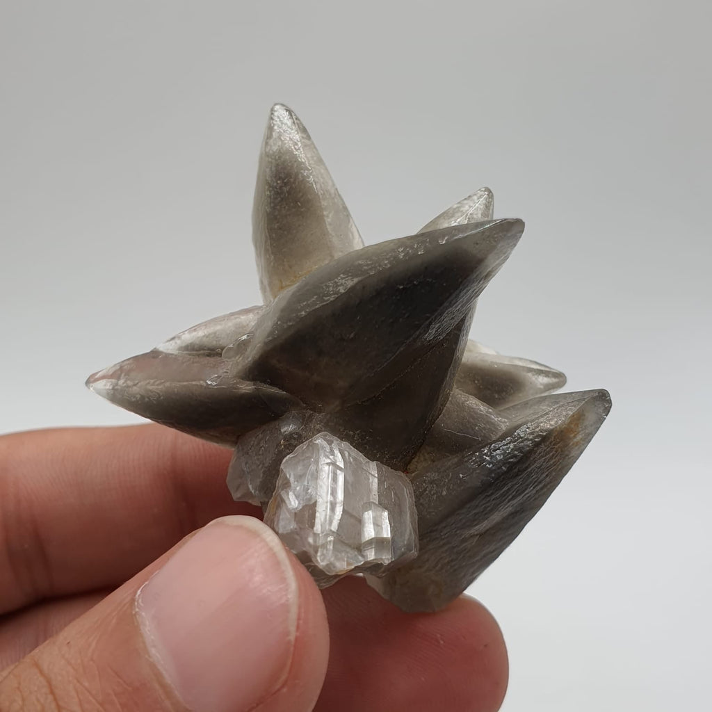 Start Burst Cluster Of Calcite With Marcasite Inclusion
