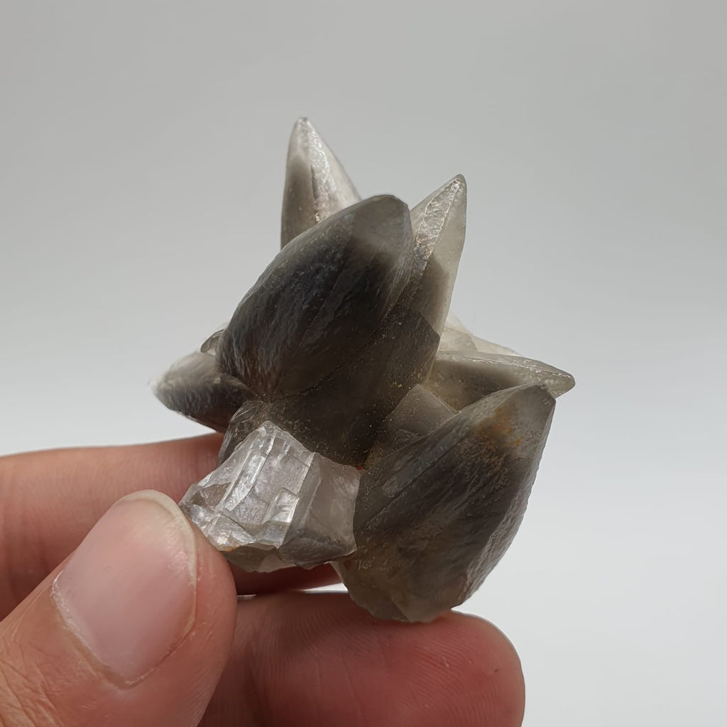 Start Burst Cluster Of Calcite With Marcasite Inclusion