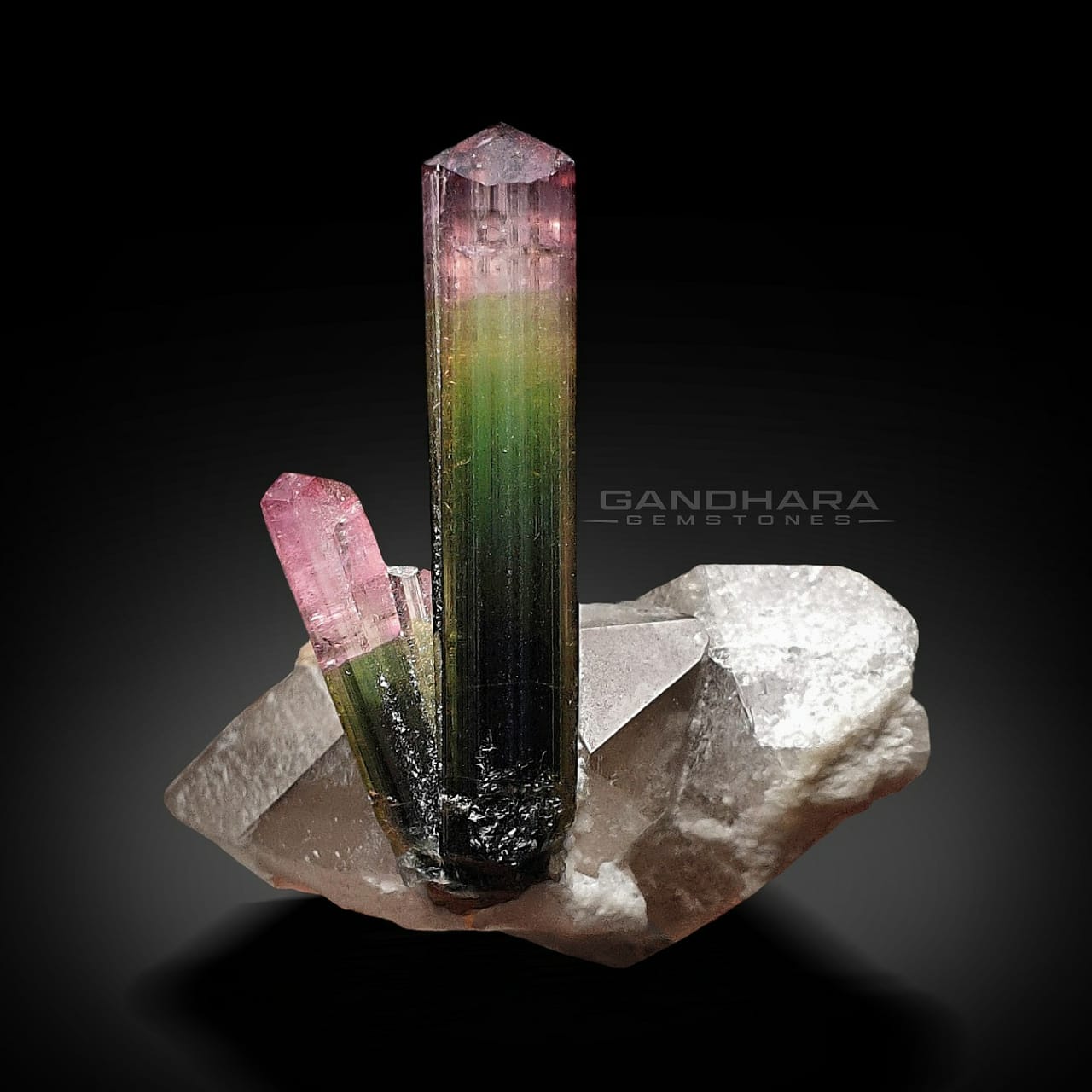 V-shaped Bicolor Tourmaline Crystals on Smokey Quartz