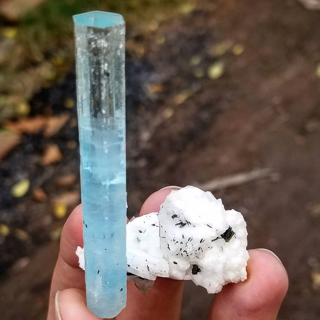 33 Grams Aquamarine Crystal Perched on Albite Matrix