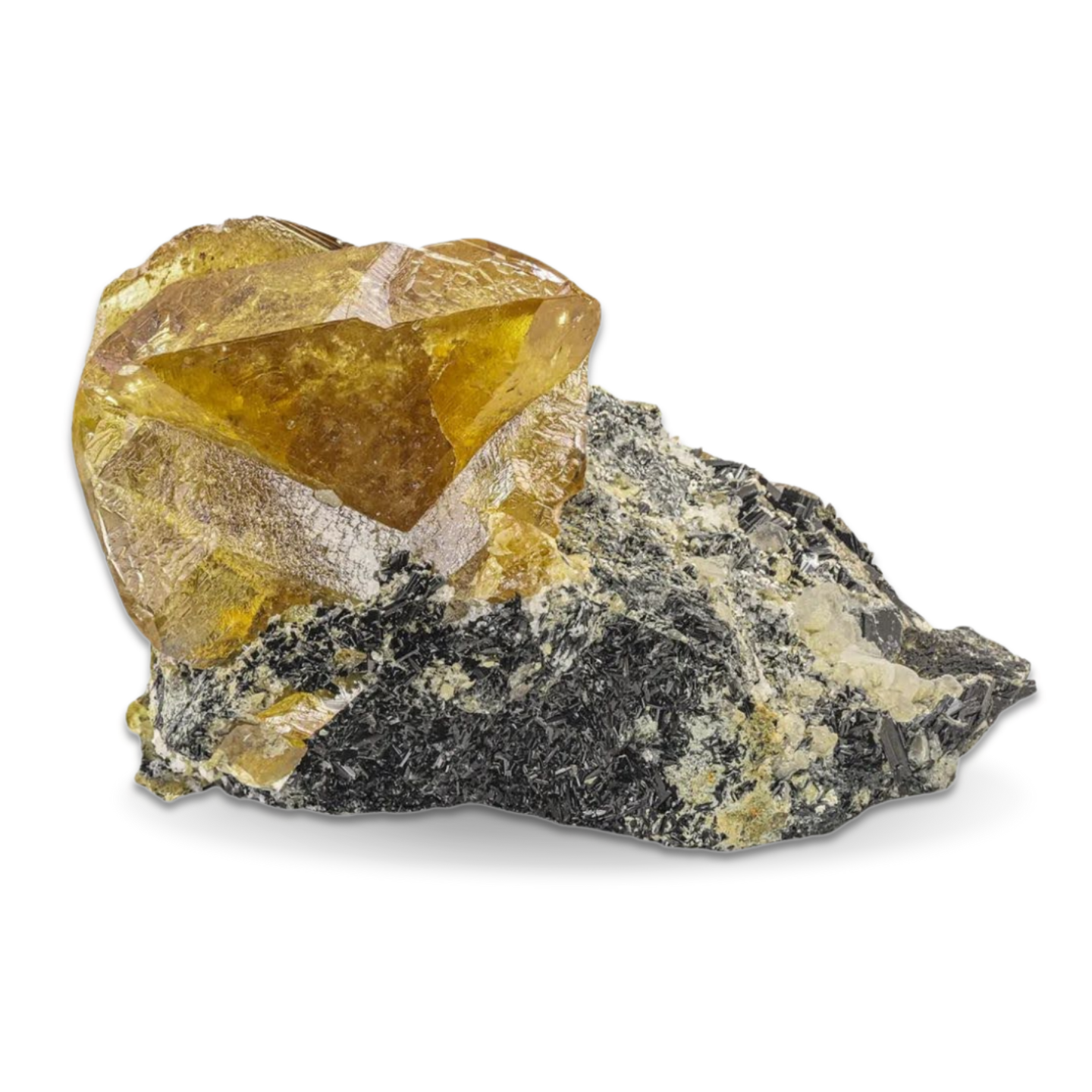 Yellow crystal on a dark gray rock against a white background at Gandhara Fine Minerals