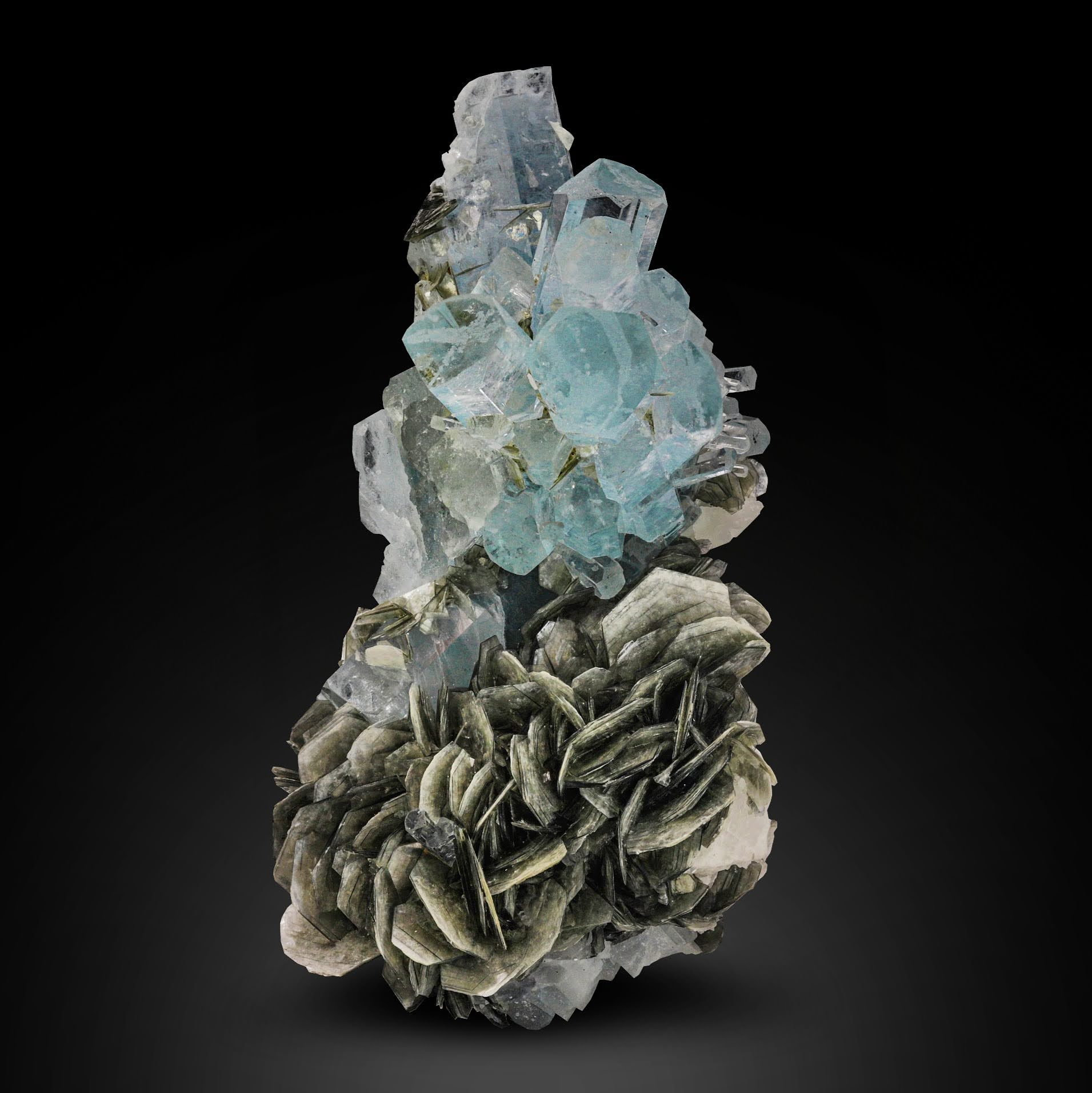 aqua blue Aquamarine crystals cluster on Muscovite From Pakistan
