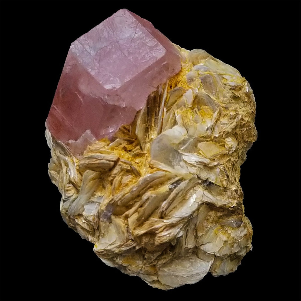 34 Gram Deep Pink Color Complete Apatite Crystal Grow on Muscovite Matrix