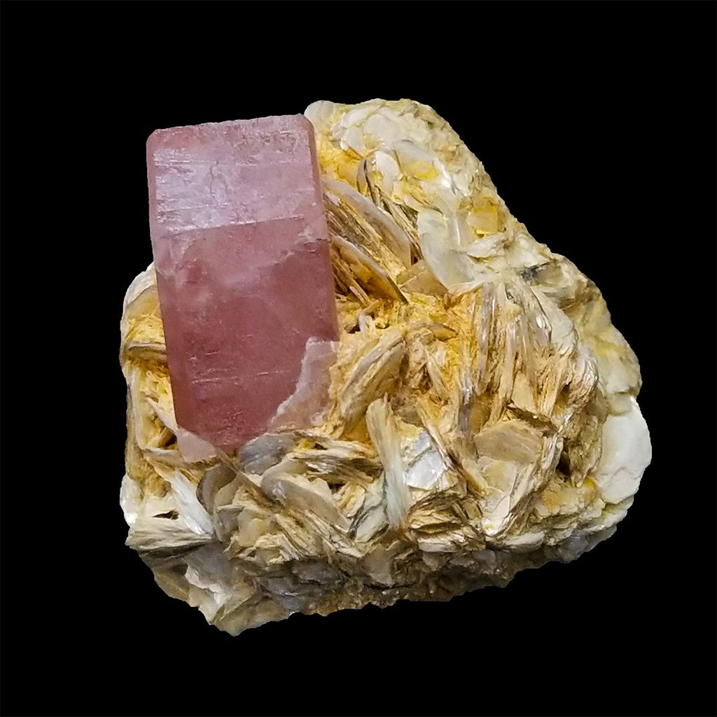 34 Gram Deep Pink Color Complete Apatite Crystal Grow on Muscovite Matrix