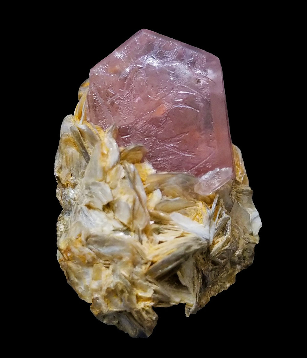 34 Gram Deep Pink Color Complete Apatite Crystal Grow on Muscovite Matrix