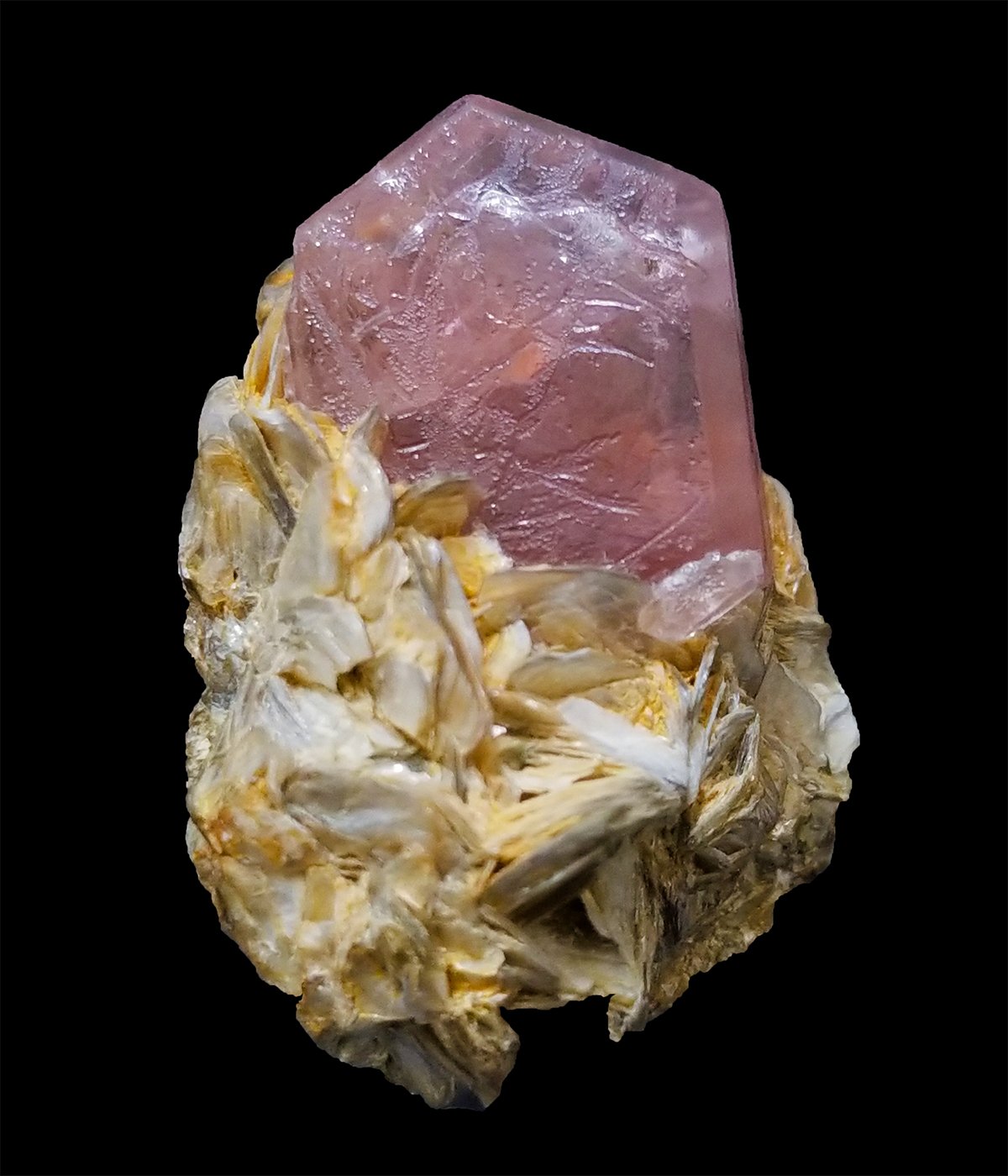 34 Gram Deep Pink Color Complete Apatite Crystal Grow on Muscovite Matrix