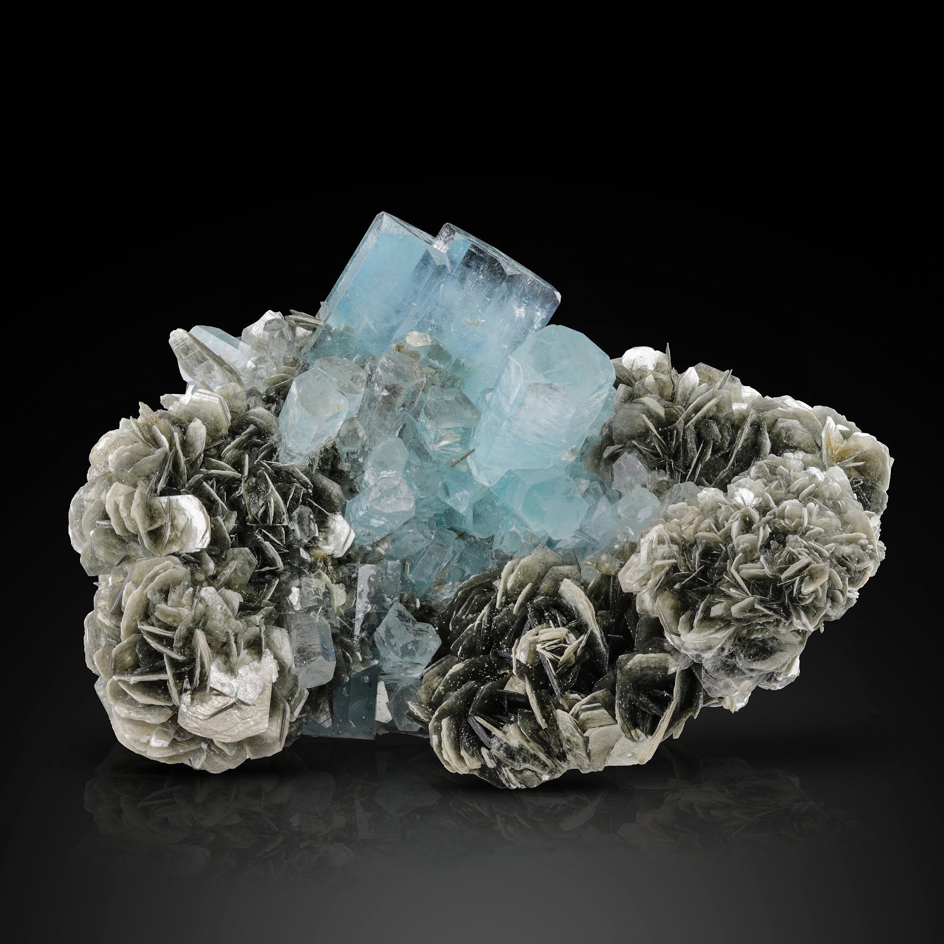 blue Aquamarine crystals cluster on Muscovite From Pakistan