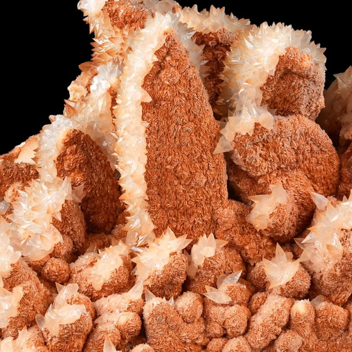 Museum Grade Calcite Cluster On Dolomite From Iran