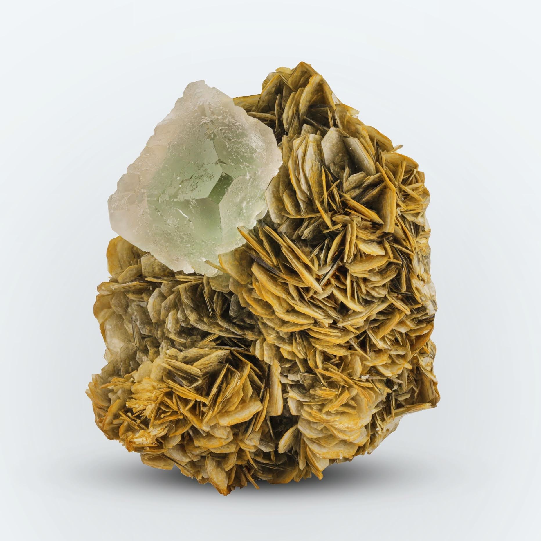 Isolated bi color Fluorite crystal nicely perched on Muscovite matrix from Pakistan