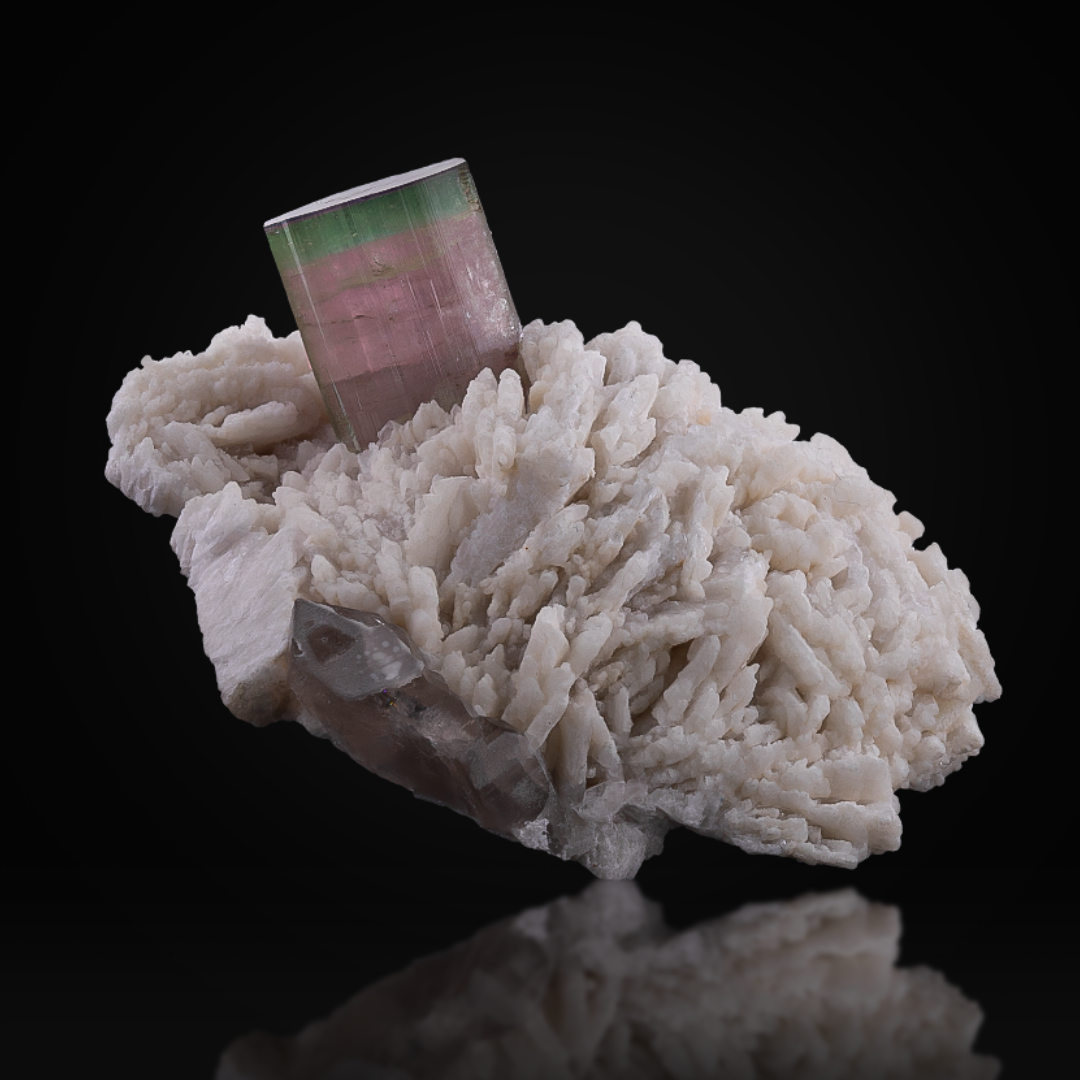 Bicolor Tourmaline On Cleavelandite 