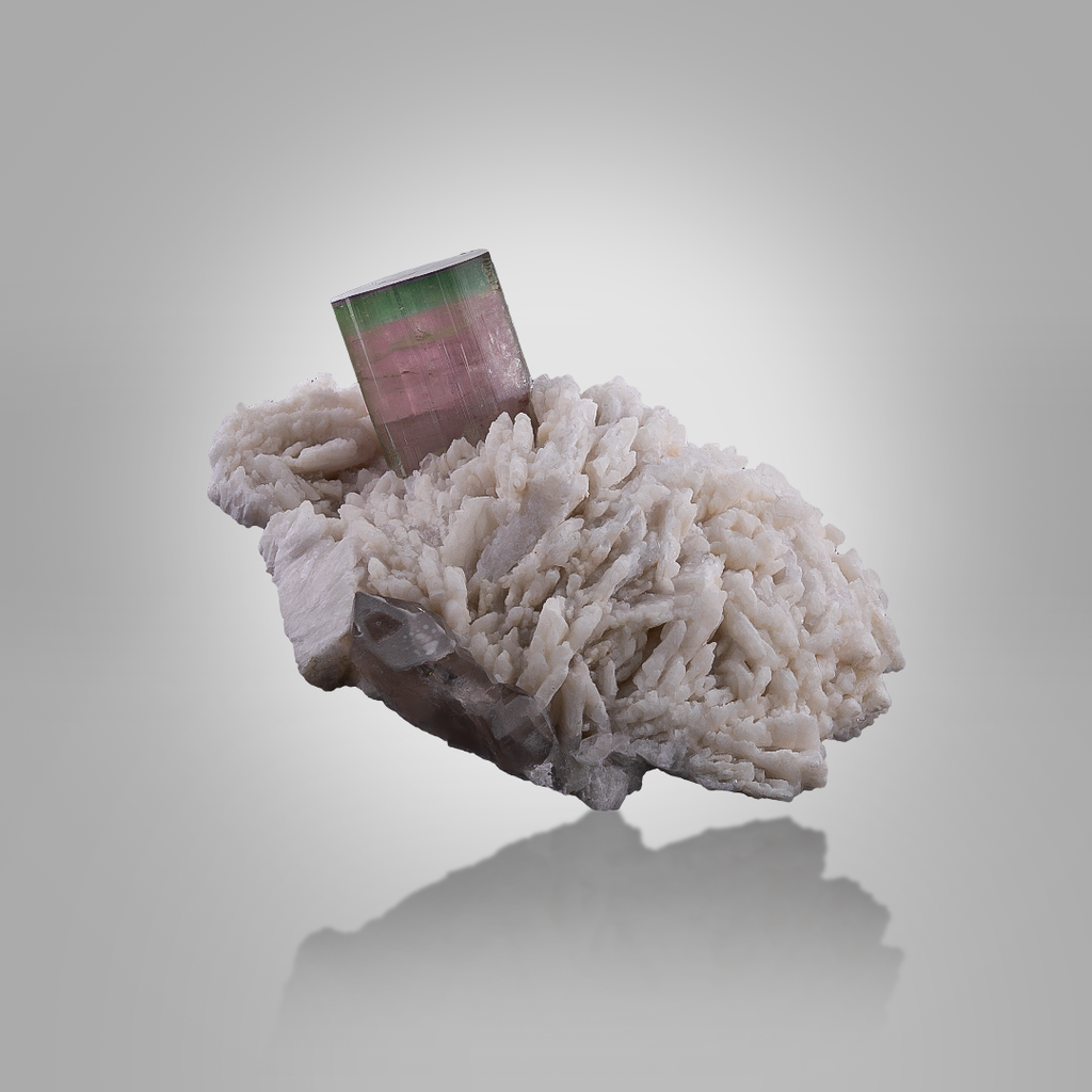Bicolor Tourmaline On Cleavelandite 