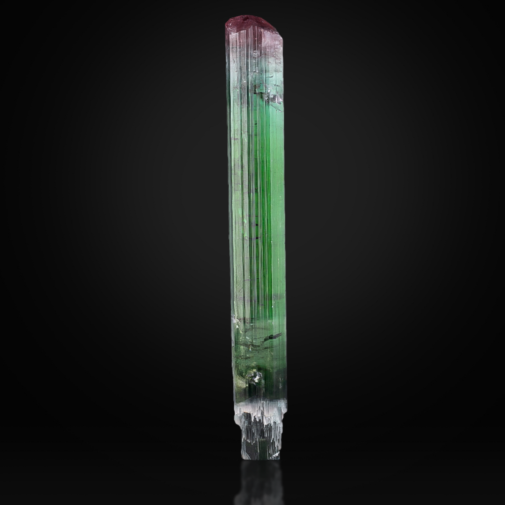 Bi-Color Scepter Tourmaline