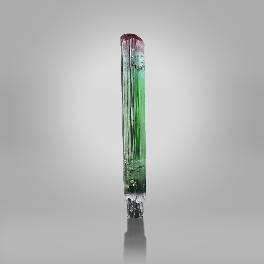 Bi-Color Scepter Tourmaline