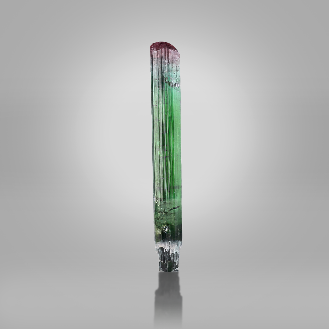 Bi-Color Scepter Tourmaline