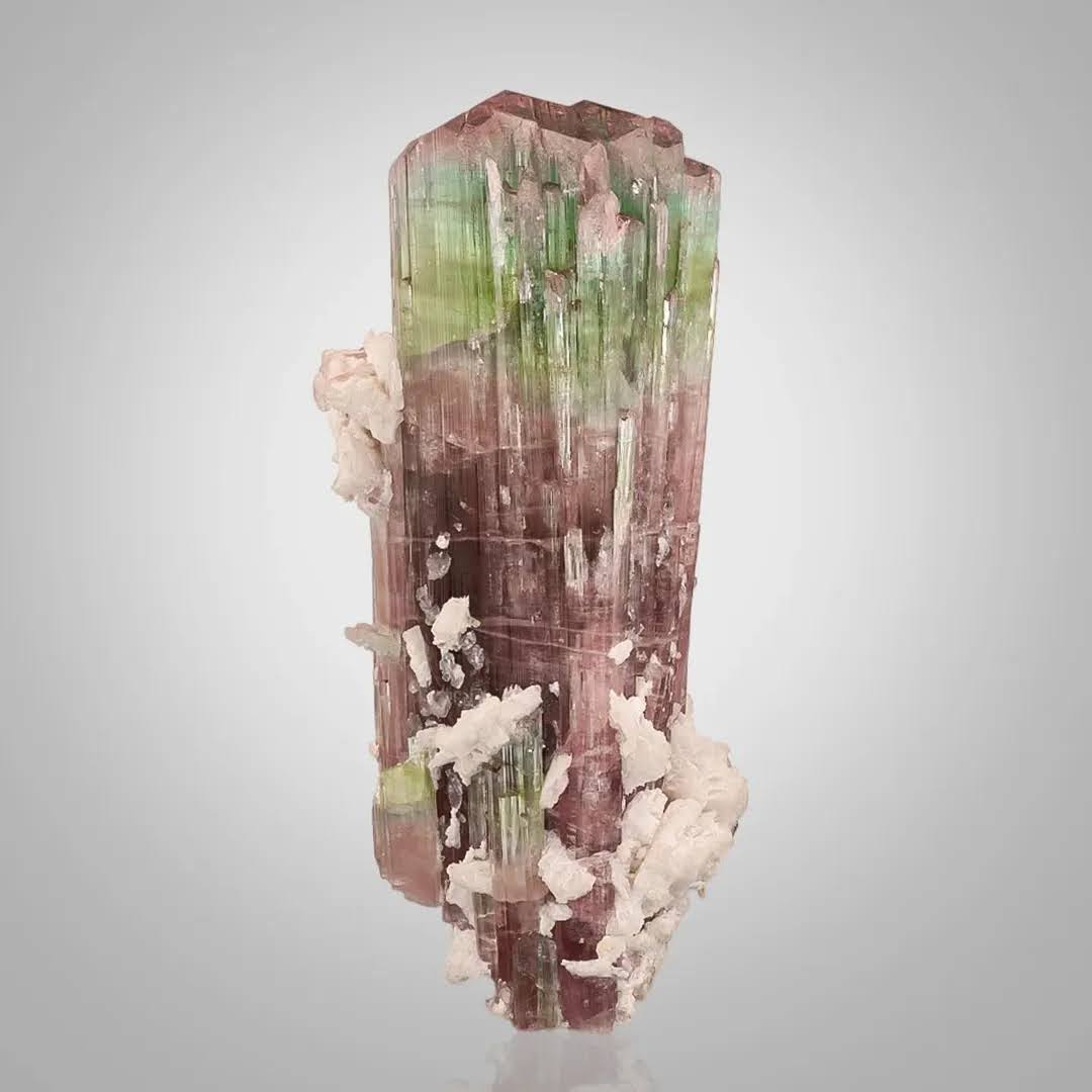 Aesthetic Bicolor Tourmaline Crystals