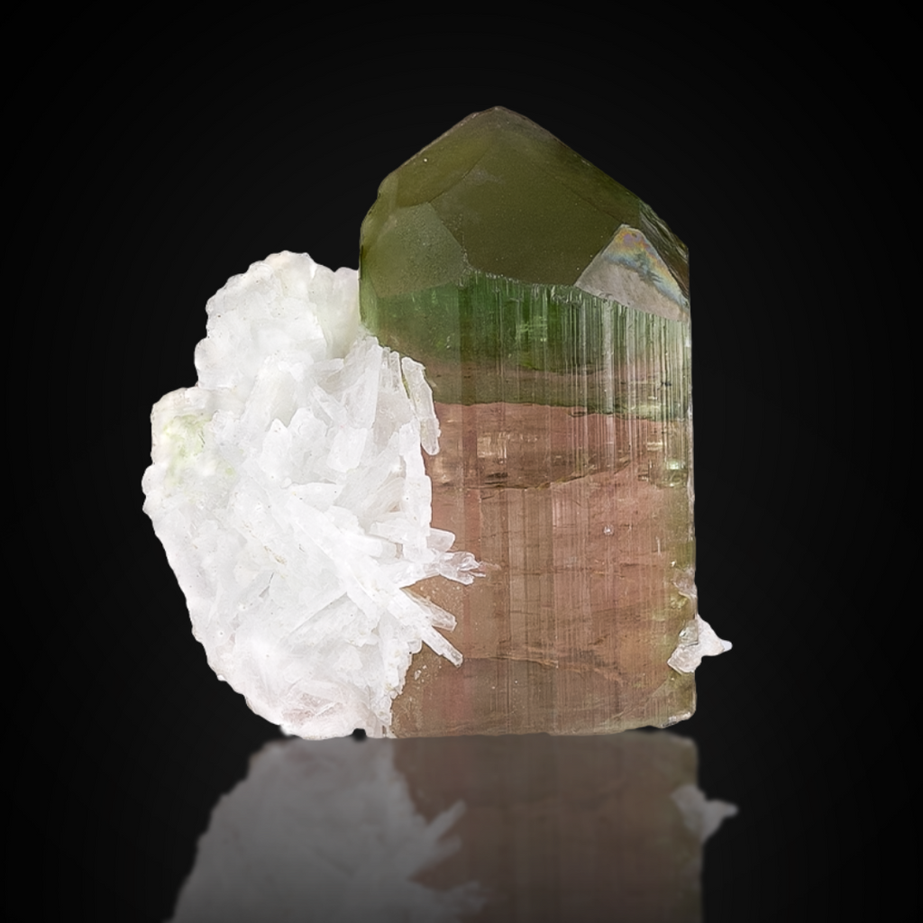 Bicolor Tourmaline With Albite