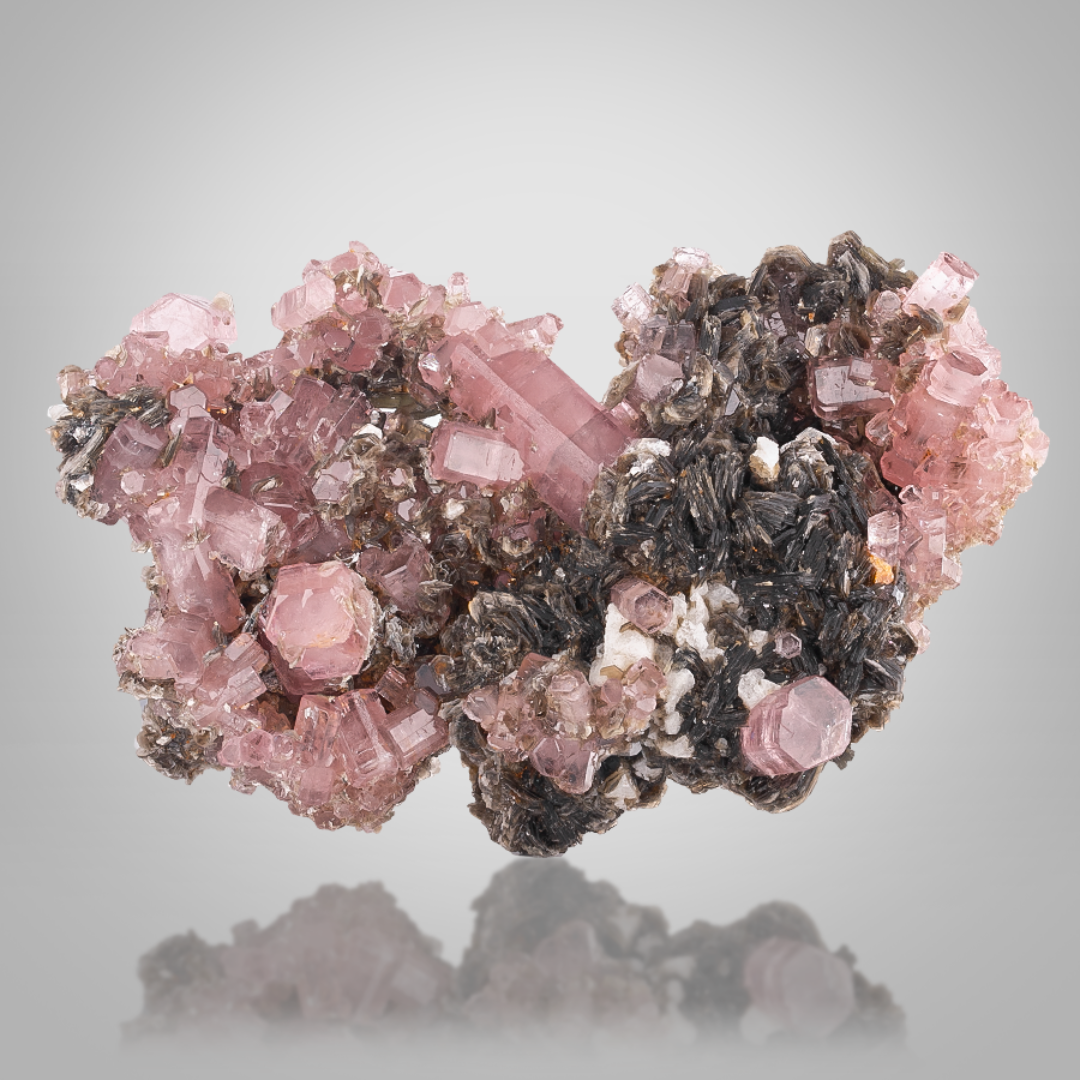 Apatite Cluster On Muscovite