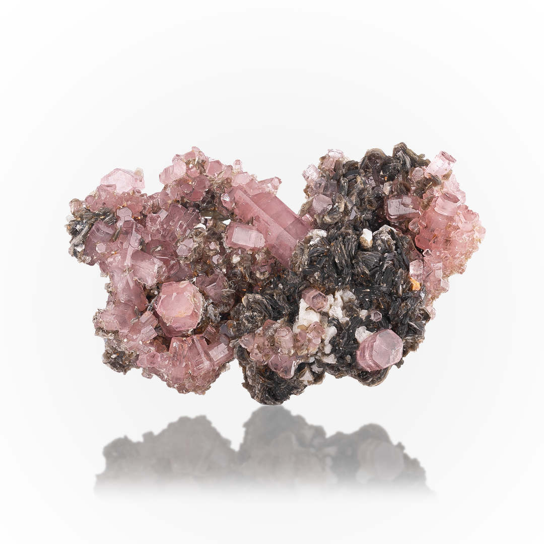 Apatite Cluster On Muscovite