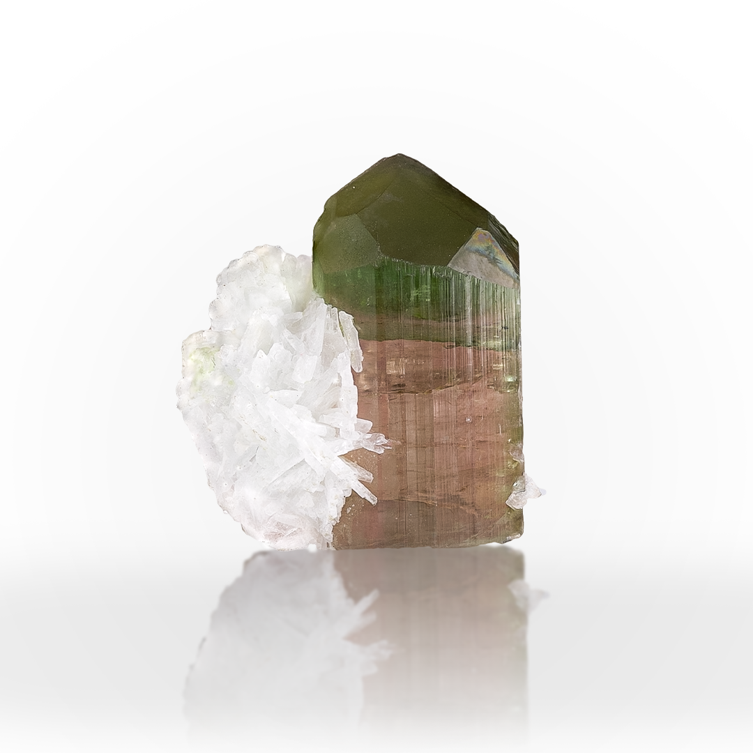 Bicolor Tourmaline With Albite