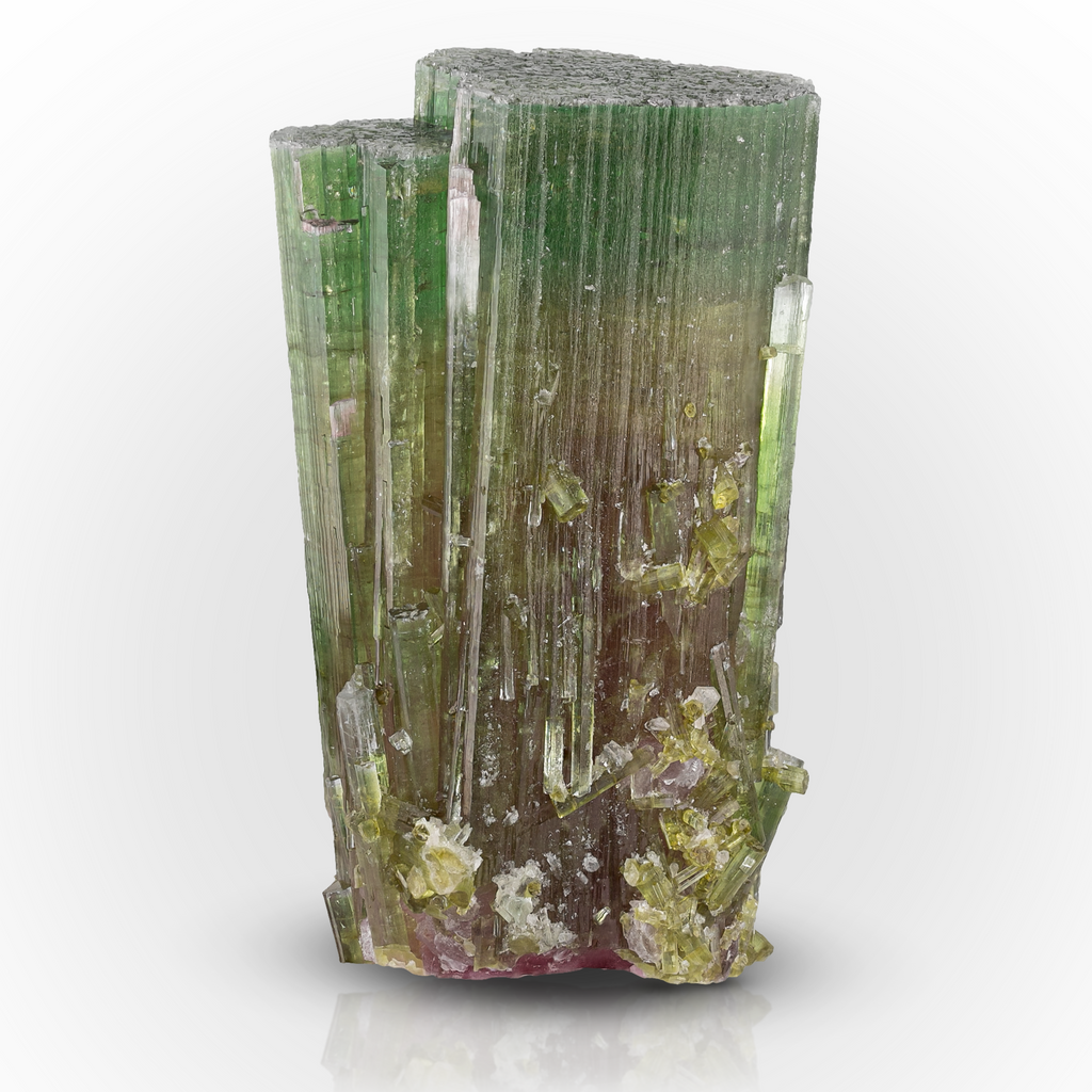 Bi-Color Tourmaline Crystal