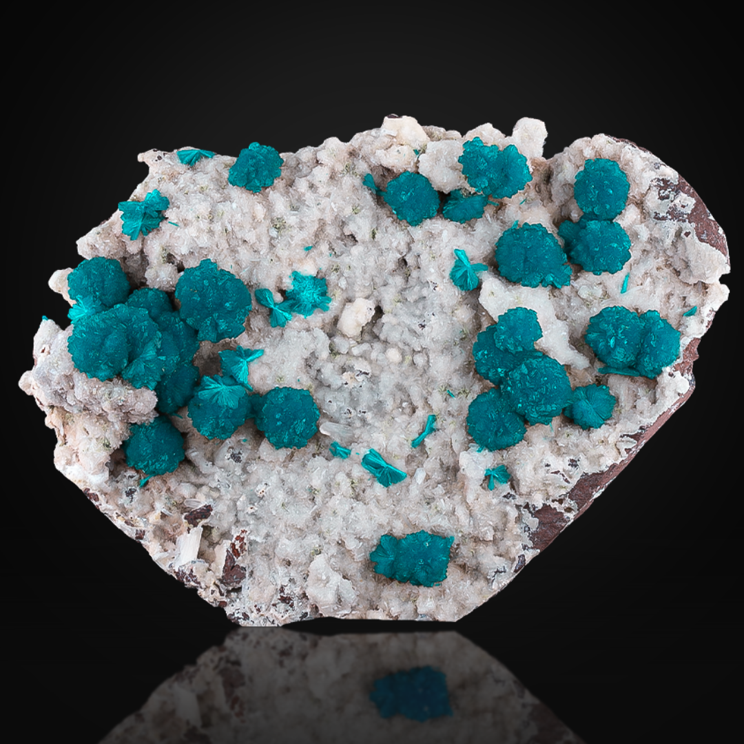 Museum Grade Cavansite