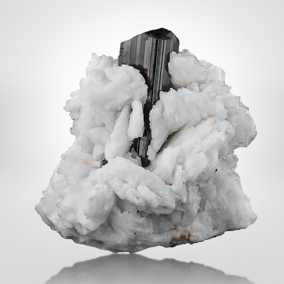 Black Tourmaline On Albite
