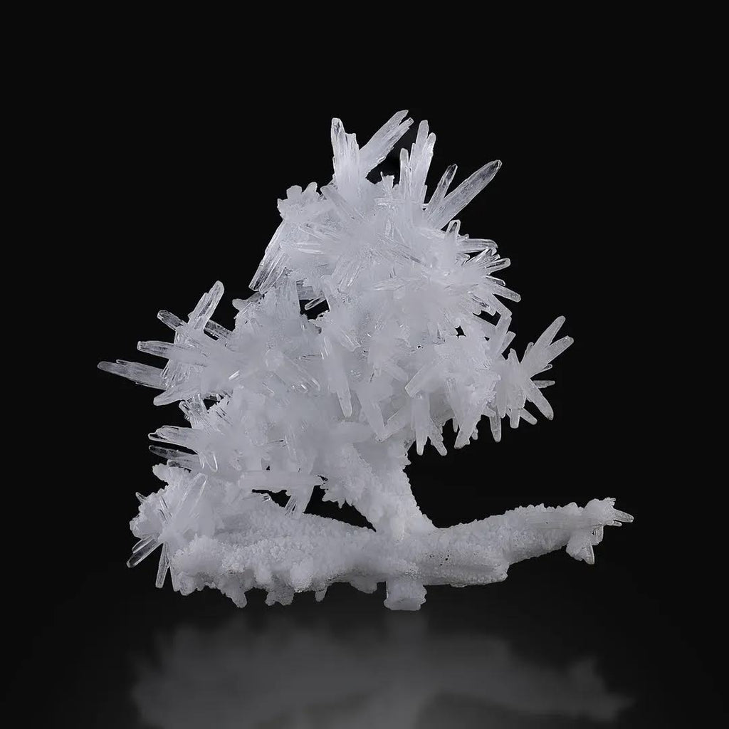 Aragonite With Calcite