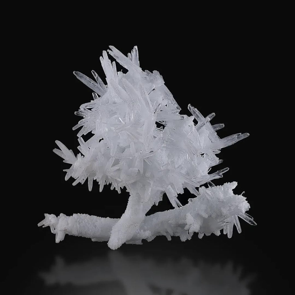 Aragonite With Calcite