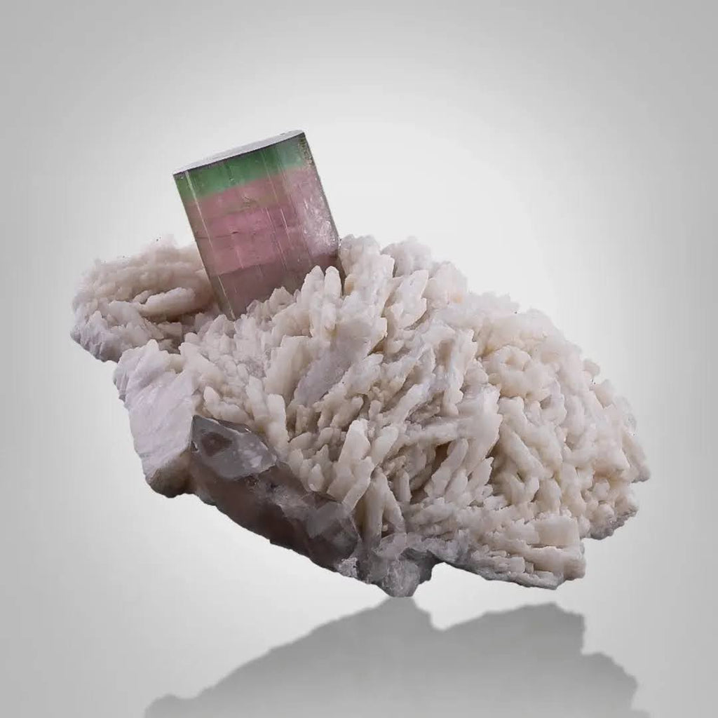 Bi-Color Tourmaline On Cleavelandite