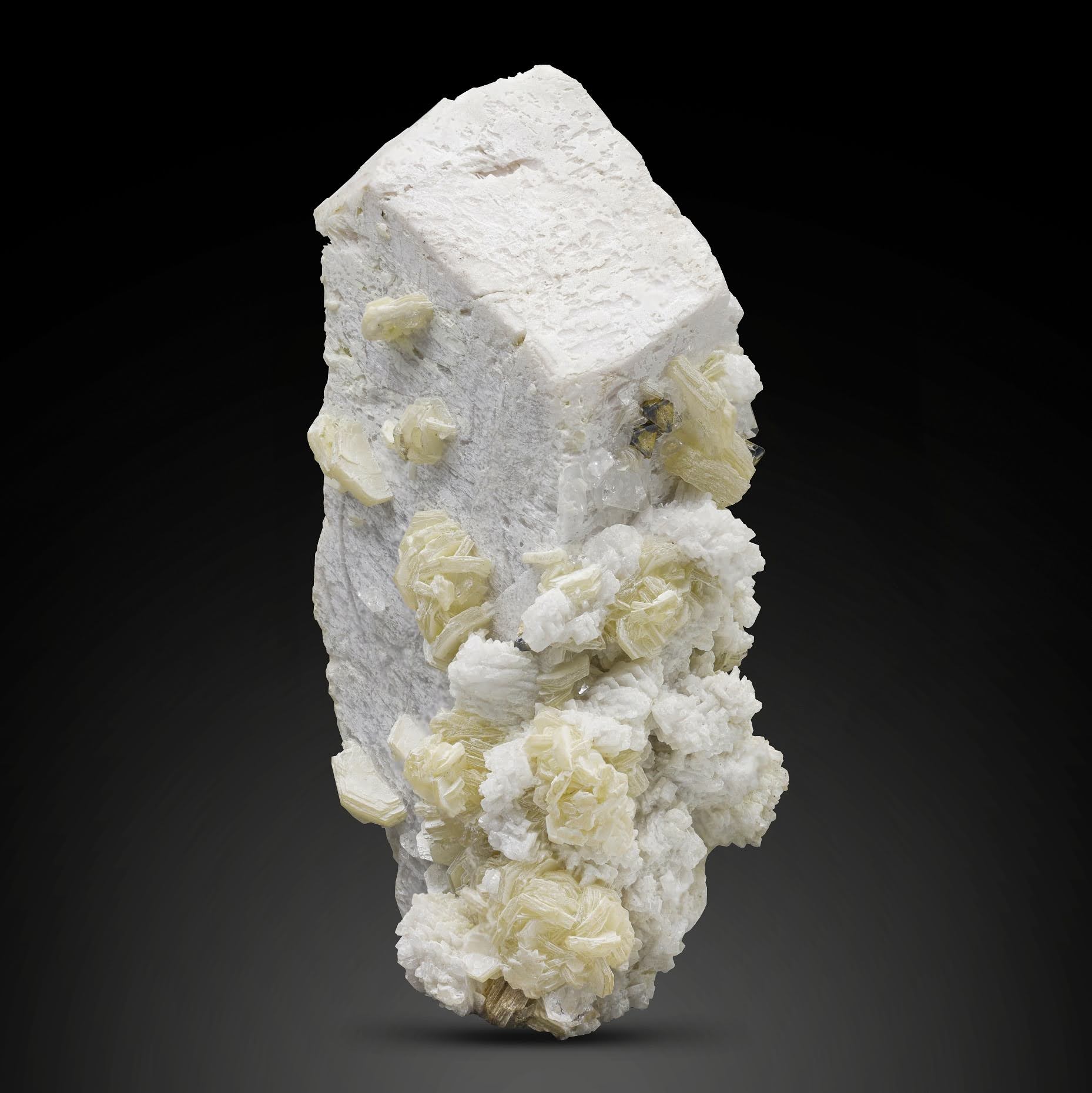 Microlite On Microcline With Muscovite From Pakistan