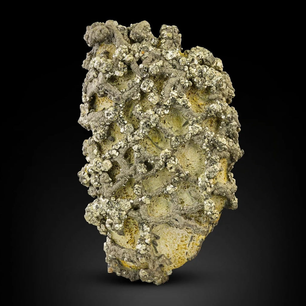 Sculptural specimen of Marcasite crystals on Lemonite from Pakistan