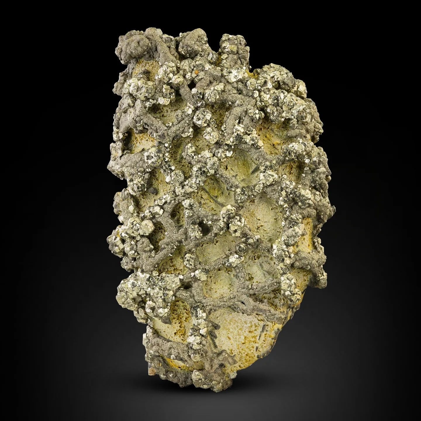 Sculptural specimen of Marcasite crystals on Lemonite from Pakistan