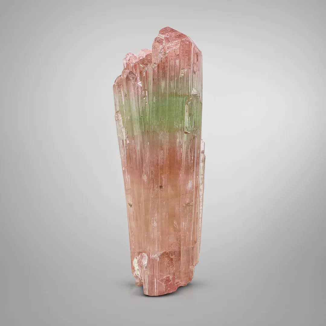 Tri Color Tourmaline Crystal with Excellent Colorful Array from Afghanistan