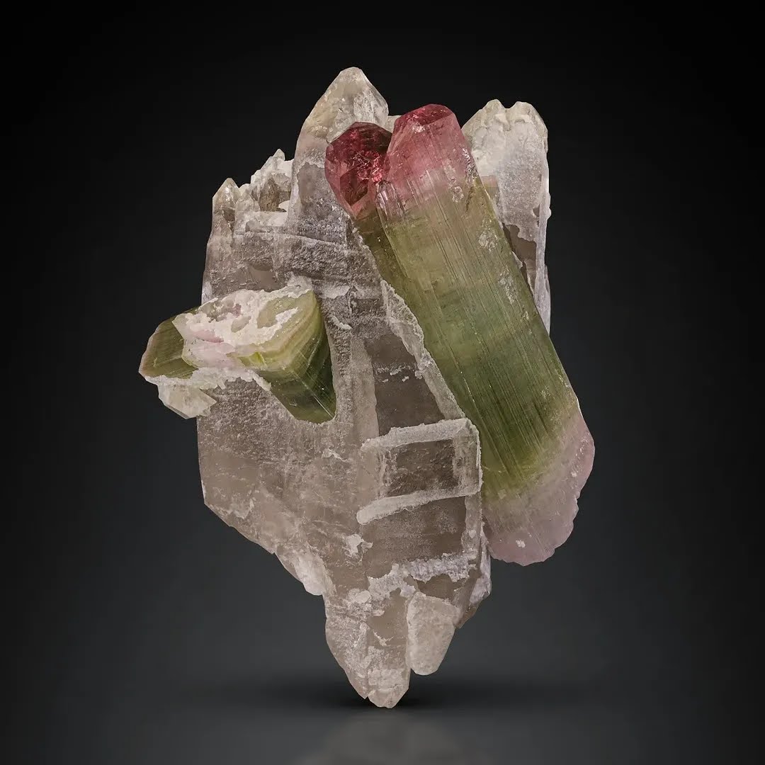 Bi color Tourmaline Crystals on Smoky Quartz from Afghanistan